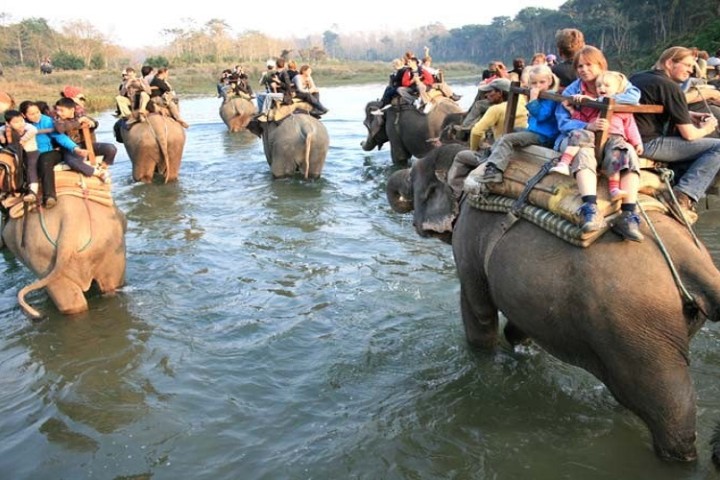 चितवनमा पर्यटककाे घुइँचो, हाेटलमा काेठा पाउनै मुस्किल