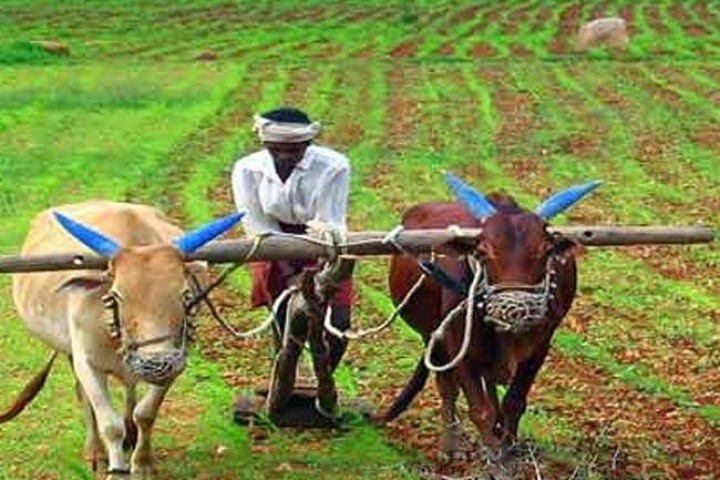 अब किसानले पनि पेन्सन पाउने