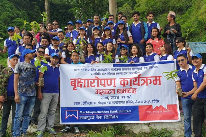 माछापुच्छ्रे बैंकद्वारा पोखरा र भक्तपुरमा वृक्षारोपण