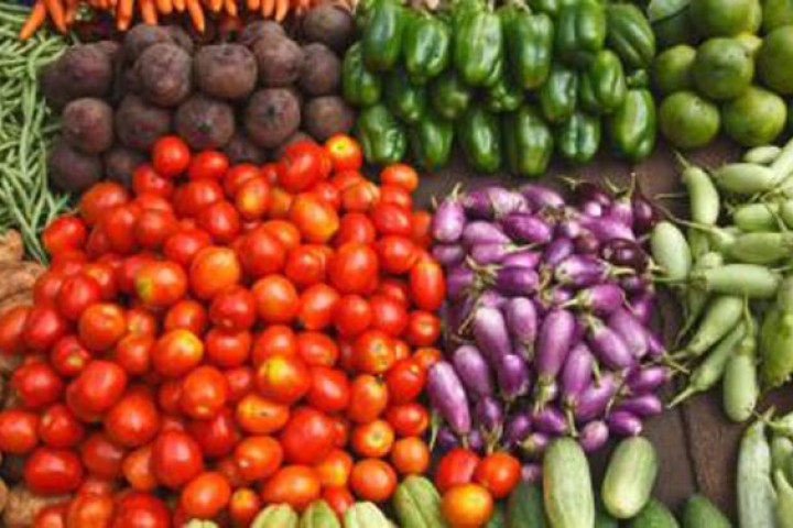 ललितपुरमा चिस्यान केन्द्र बन्दै