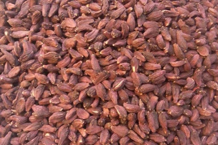 एक वर्षमा ४ अर्बको अलैँची निर्यात