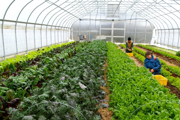 हाँडीखोलामा देशकै ठूलो कृषि केन्द्र बन्दै, १५ सयलाई रोजगारी दिने