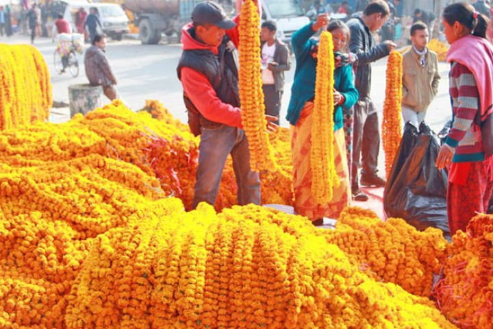 तिहारमा २५ लाख मालाको माग, १५ करोडको फूलको काराेबार हुने