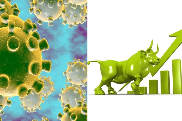 कोरोनाले आतंक फैलाएका कारण नेपाली सेयर बजारमा उछाल !