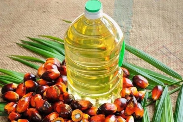 पाम आयल निर्यात खुलाउन भारत सकारात्मक