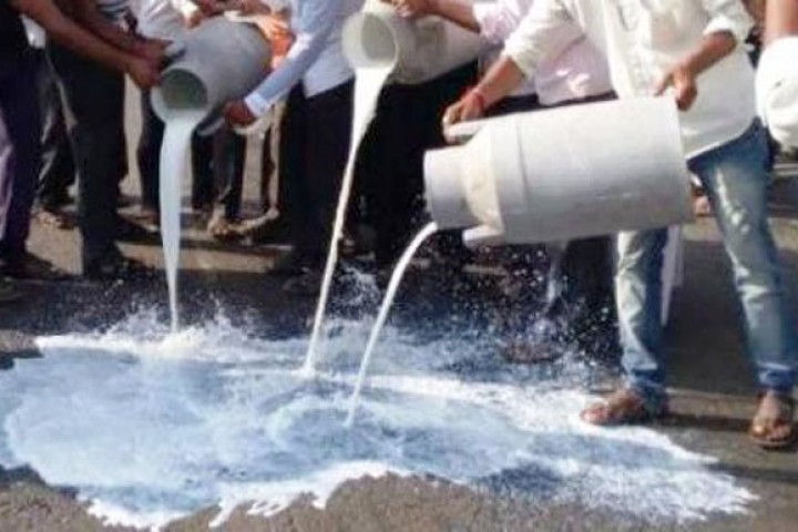 विक्री नभएपछि सडकमा दूध पोख्दै किसान