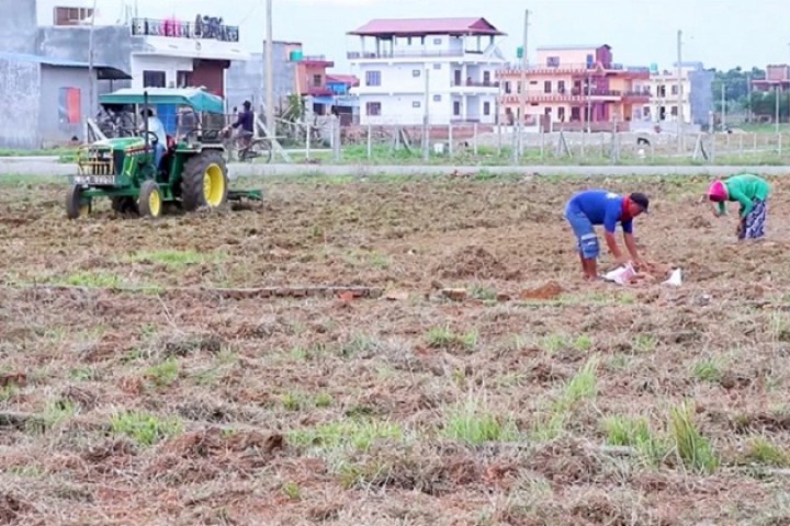 बाँझो जग्गा खनजोत गर्दै उपत्यकावासी, बेच्न तयार पारिएको प्लटिङमा धमाधम खेती