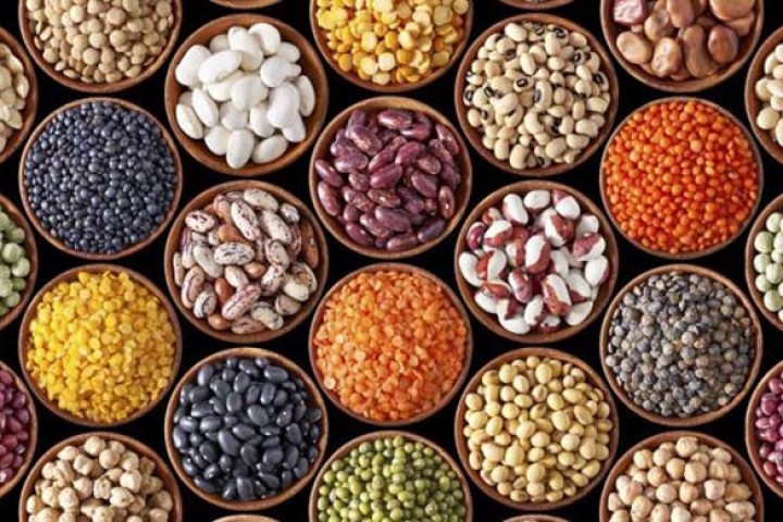 किसानले ५० प्रतिशत अनुदानमा धान र तरकारीको बीउ पाउने