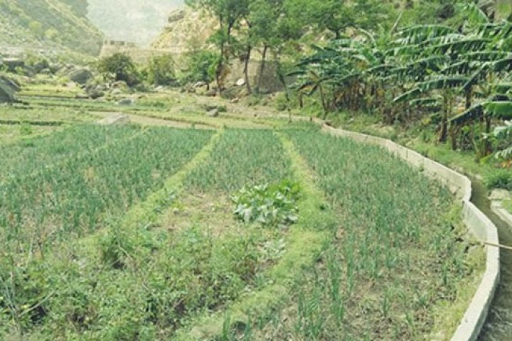 साना सिँचाइ कार्यक्रमका लागि स्वीजरल्याण्डले २ अर्ब दिने