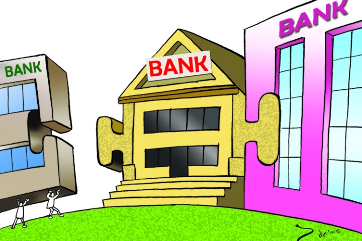 वित्तीय संरचनाको आधारविना 'बिग मर्जर'को हौवा