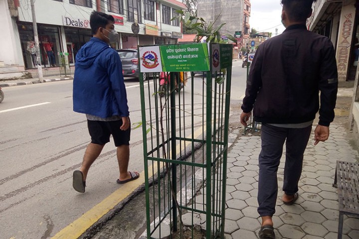 चेतनालाई गिज्याउने विकास : २ जना हिँड्न नमिल्ने फूटपाथमा पनि बाटो छेक्न लाखौं खर्चेर  बिरुवा रोपियो