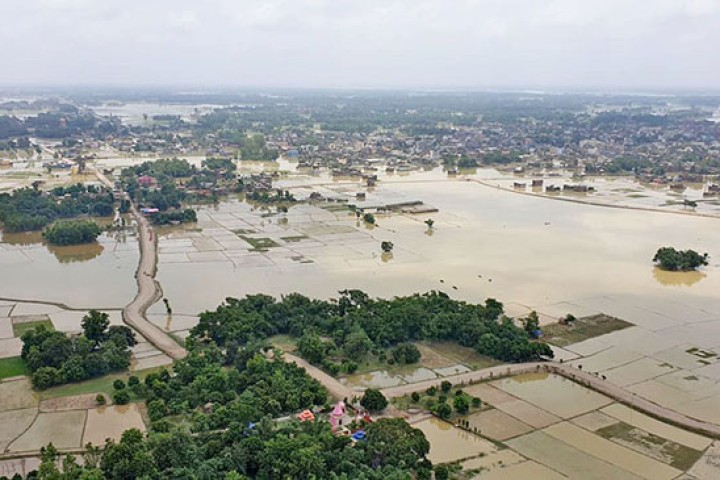बाढीले ८८ हजार हेक्टर खेतीयोग्य जमिनमा क्षति, १ हजार पशुपंक्षी मरे