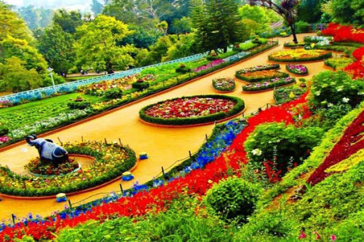 काठमाडौं महानगरले एक वर्षमै बनायो २५ नयाँ पार्क, १२३ रोपनी सार्वजनिक जग्गा संरक्षण