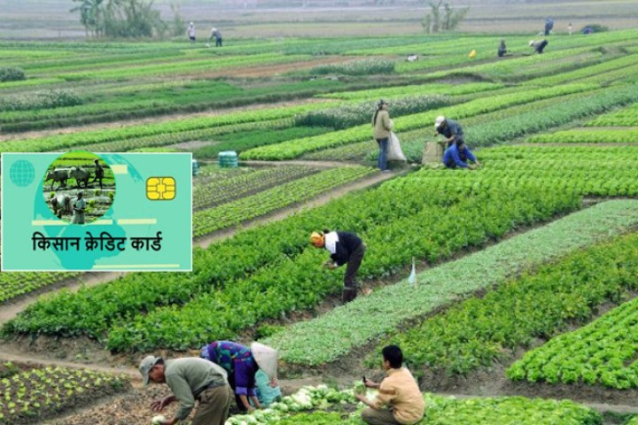 कृषि बैंकद्वारा किसान क्रेडिट कार्ड वितरण शुरू, मन्त्रालय भने बल्ल कृषक सूचीकरणमा जुट्दै