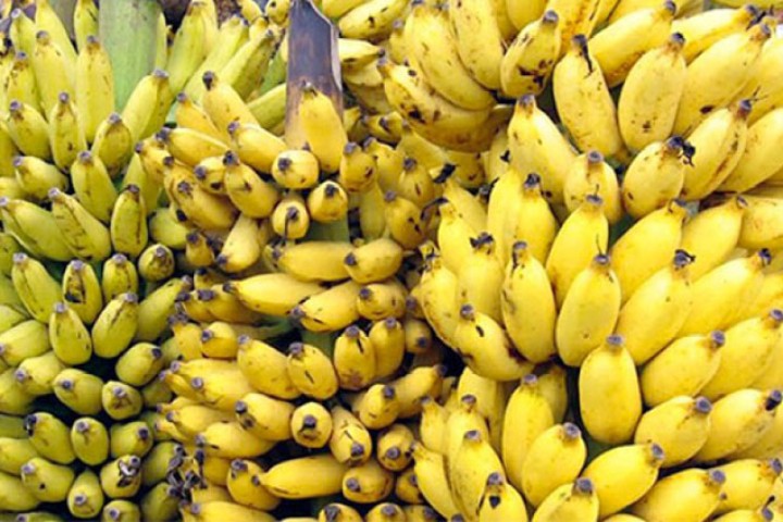 छठका लागि जनकपुरमा मात्रै ४ करोडको केरा आयात, भाउ २५ प्रतिशत महँगियो