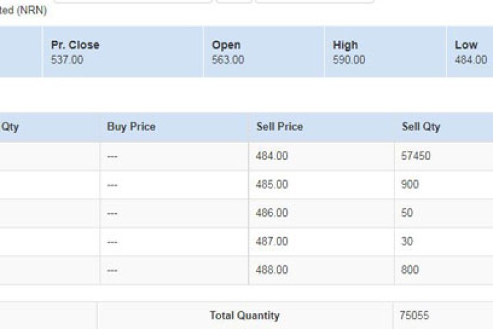 एनआरएन इन्फ्रास्टक्चरको सेयर भाउ जसरी बढ्यो त्यसरी नै घट्दै, बेच्नेको ओइरो लाग्दा १ कित्ता पनि किन्ने छैनन्