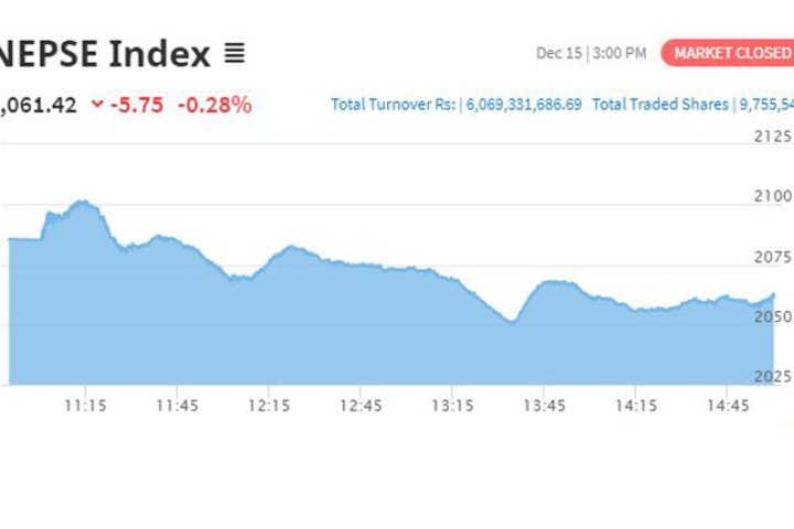 सेयर बजारमा करेक्शन, घट्दो बजारमा पनि यी ६ कम्पनीका लगानीकर्ता भए मालामाल