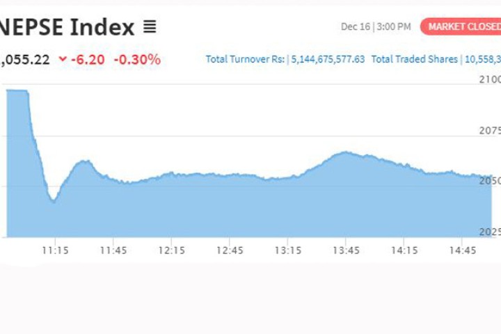 सेयर बजारमा लगातार करेक्शन, घट्दो बजारमा पनि यी ७ कम्पनीका लगानीकर्ता भए मालामाल