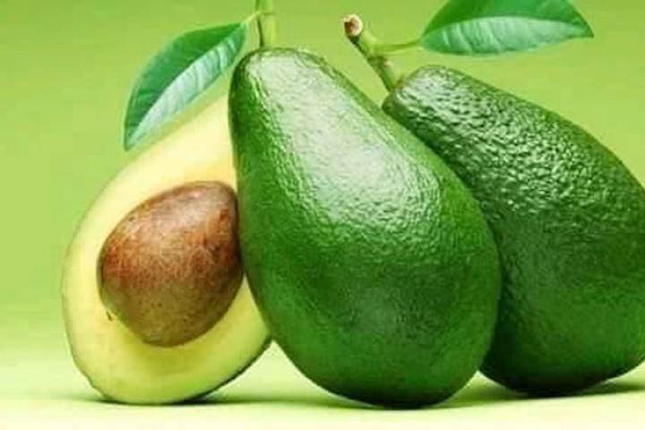 ‘ग्रीन गोल्ड’ एभोकाडोको विश्व बजारमा अधिक माग, नेपालमा भने खेतीलाई प्रोत्साहन गर्ने नीति नै छैन