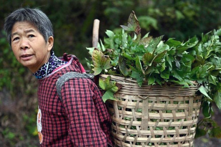 विश्वलाई नै चकित पार्दै चीनले ८ वर्षमै कसरी बनायो १० करोड नागरिकलाई धनी ?