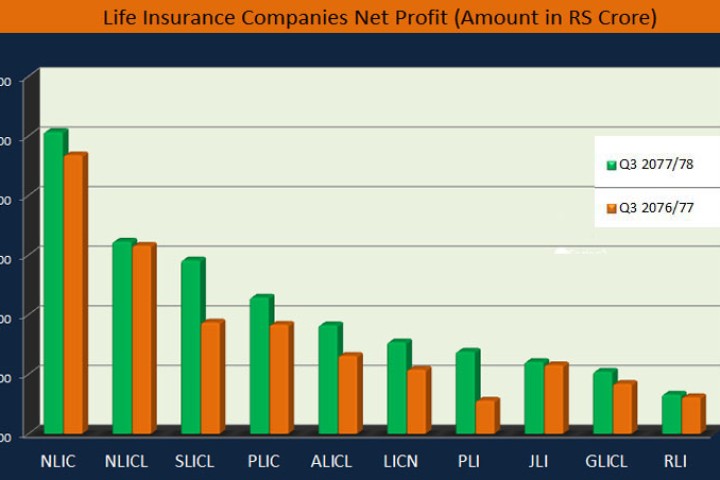 जीवन बीमा कम्पनीहरुमा पुरानाकै दबदबा, कुनको कस्तो छ वित्तीय अवस्था (तथ्यांकसहित)