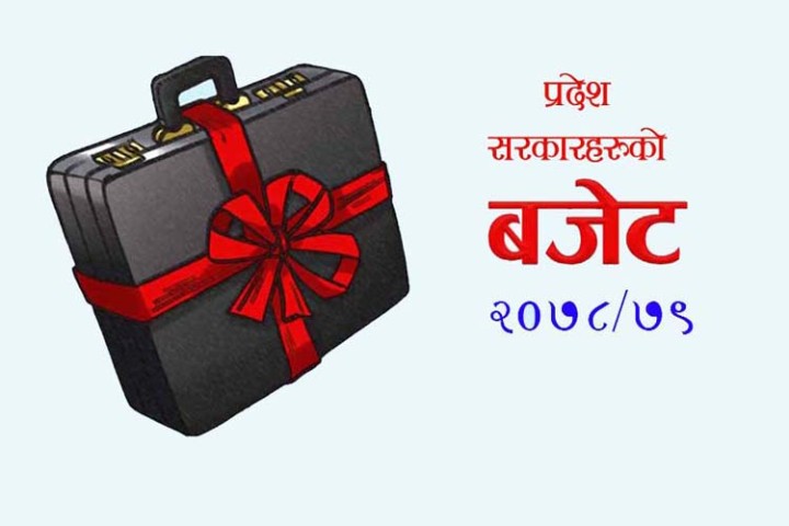 तीन प्रदेशले घटाए बजेटको आकार, कुन प्रदेशले कति अर्बको ल्याए बजेट ?