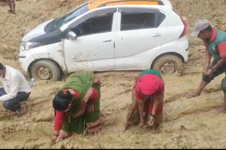 ठेकेदारले काम नगरेपछि जनप्रतिनिधिले नै रोपे सडकमा कोदो