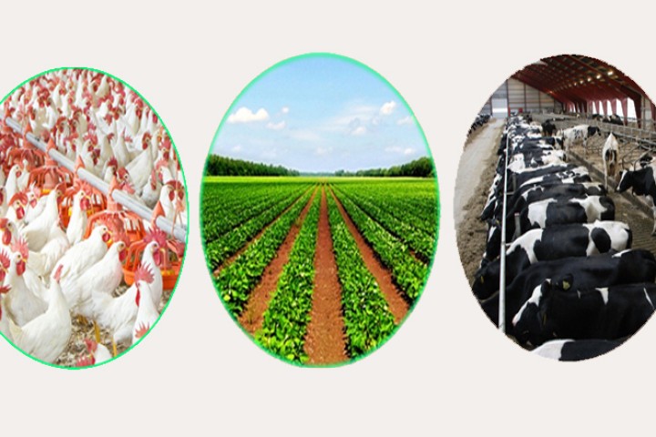 साढे ५ अर्ब लगानीमा २१ वटा कृषिजन्य उद्योग खुल्दै, कुन उद्योगमा कसको लगानी ?