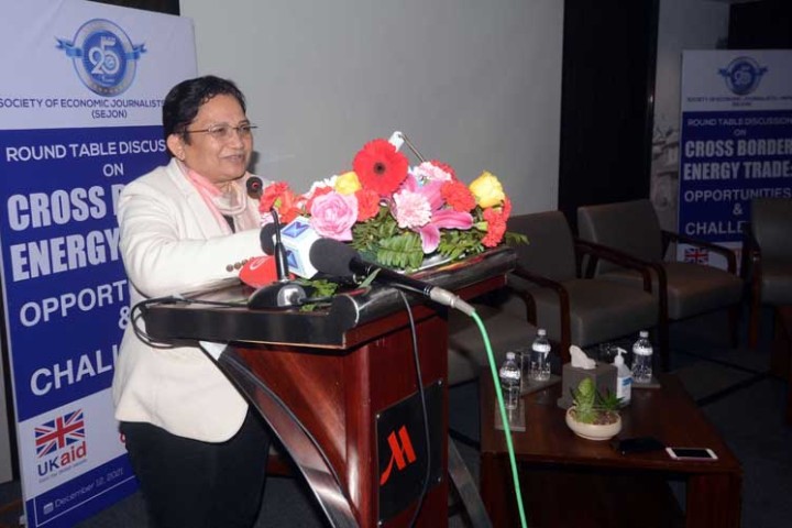 निजी क्षेत्रले भरपर्दो आधार देखाए विद्युत व्यापारको अनुमति दिइने