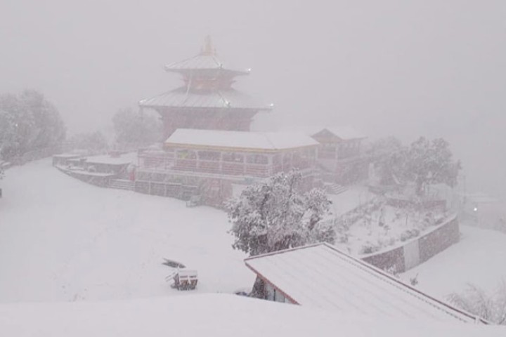चन्द्रागिरिमा हिमपात, खेल्न जानेको घुइँचो