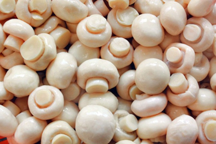 अवैध च्याउ आयातमा रोक लगाउन किसानको माग