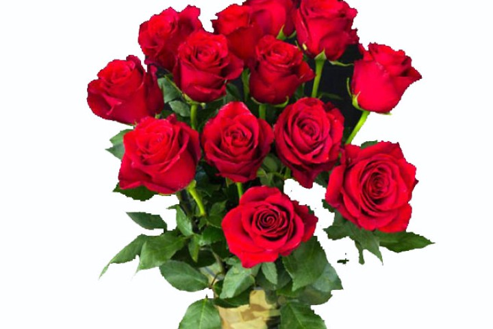 'भ्यालेन्टाइन डे'का लागि २ लाख गुलाफ आयात गरिँदै