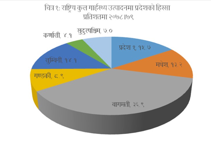 जीडीपीमा वाग्मती प्रदेशको हिस्सा एक तिहाइ बढी, अन्य प्रदेशको कति ?