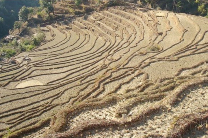 वर्षेनी खाद्यान्न अभाव हुने कर्णाली प्रदेशमै २८% खेतीयोग्य जमिन बाँझै