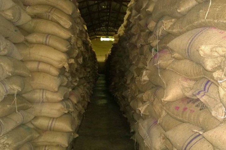 खाद्यन्न भण्डारण गर्ने १०० गोदाम बन्दै, यी हुन् छनोट भएका स्थान