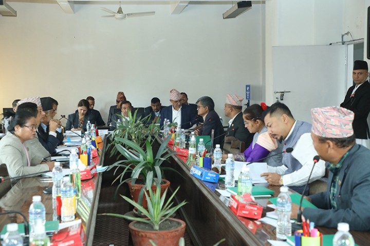 अर्थ समितिको पहिलो बैठक : ईभीदेखि स्टक लाइसेन्सको कुरा उठ्यो, कसले के भने ?