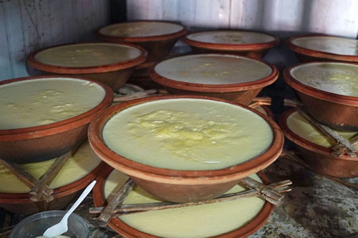 दही-चिउरा र भक्तपुरको जुजु धौ