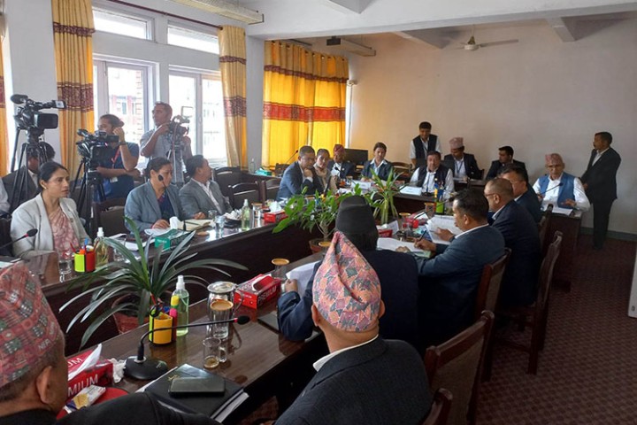 अर्थ समिति आफ्नै निर्णयबाट 'ब्याक', नयाँ ब्रोकर लाइसेन्स प्रक्रिया अघि बढाउन निर्देशन