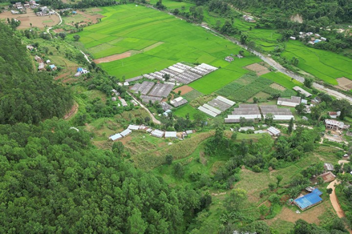 पाँचखालको एउटा फार्मले धान्दैछ काठमाडौंका पाँचतारे होटलको मासु र तरकारीको माग