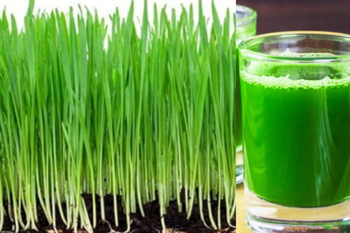 जमराको जुस पिउनु स्वास्थ्यका लागि फाइदाजनक कि हानिकारक ?