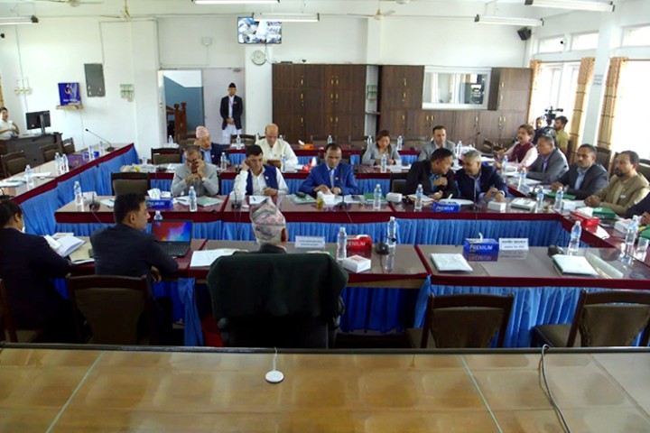 टेरामक्स र स्मार्ट टेलिकमको अनुमतिपत्र बिक्री सम्बन्धमा तत्काल निर्णय नगर्न निर्देशन