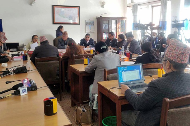 एमडीएमएस र टेरामक्स सम्बन्धी कागजात बुझाउन सरकारलाई निर्देशन