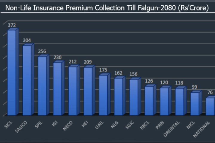 निर्जीवन बीमा व्यवसाय : मर्जरपछि ठूला बनेकाले शिखरलाई दिन सकेनन् टक्कर