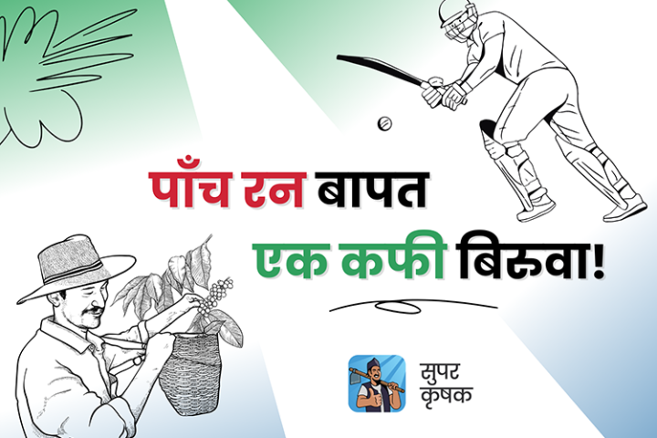 विश्वकपमा नेपाली खेलाडीले प्रत्येक ५ रन हान्दा किसानले एउटा कफीको विरुवा पाउने