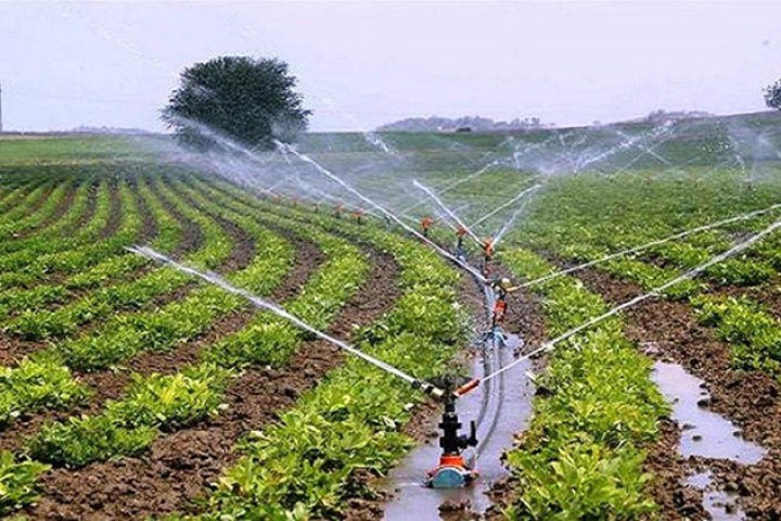 पाँचखालका साढे ४ हजार कृषक 'आइपीएम' प्रविधिबाट खेती गर्दै