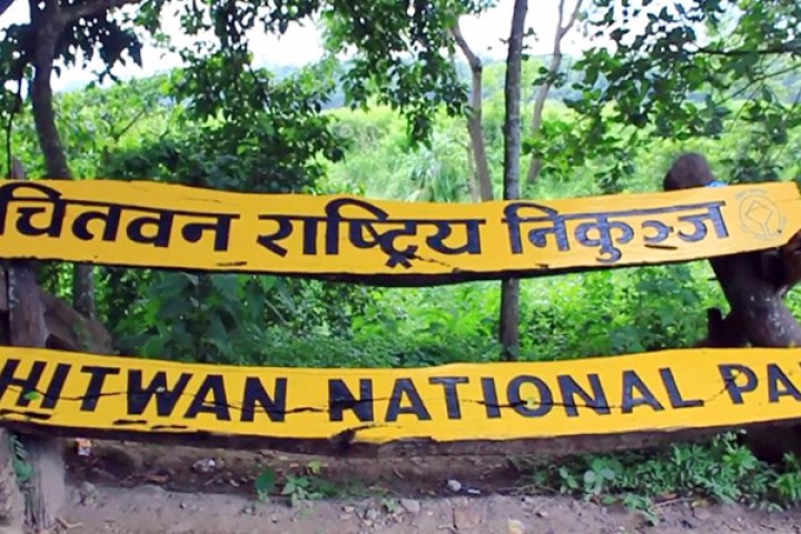 चितवन राष्ट्रिय निकुञ्ज घुम्ने स्वदेशीभन्दा विदेशी धेरै, उठ्यो १० करोड राजस्व