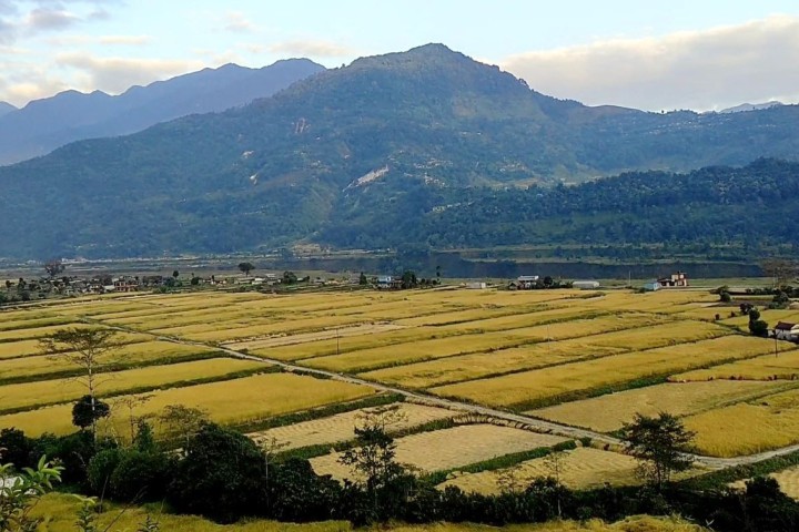 गण्डकी प्रदेशमामा कृषि भूमि ७.७ प्रतिशतले घट्यो