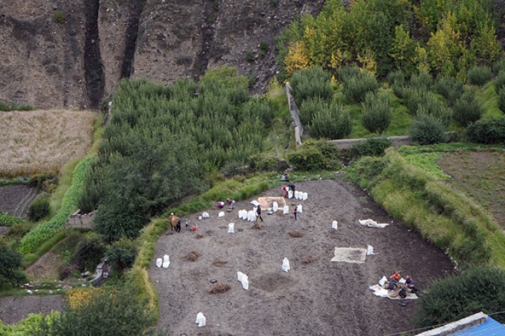 मुस्ताङका ५ पालिकामा आलु ‘जोन’