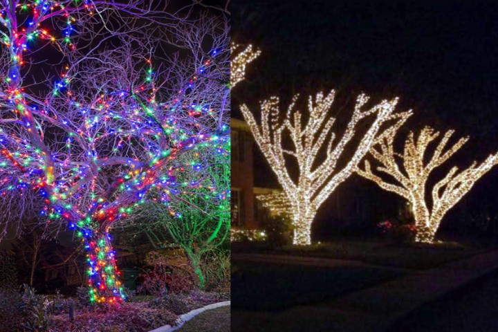 काठमाडौंका रुखमा अब झिलिमिली बत्ती राख्न नपाइने