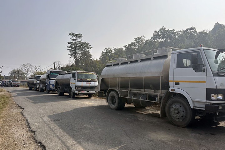 'मिल्क होलिडे' हुनबाट रोक्दै चितवनका डेरी उद्योग, देशैभरबाट ल्याउँछन् दूध